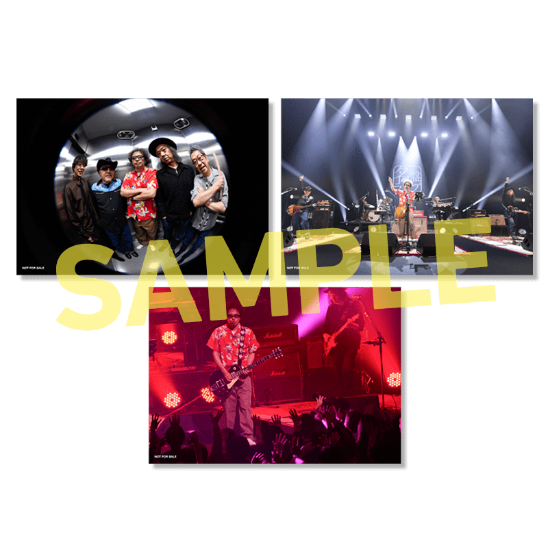 ビジュアルシート